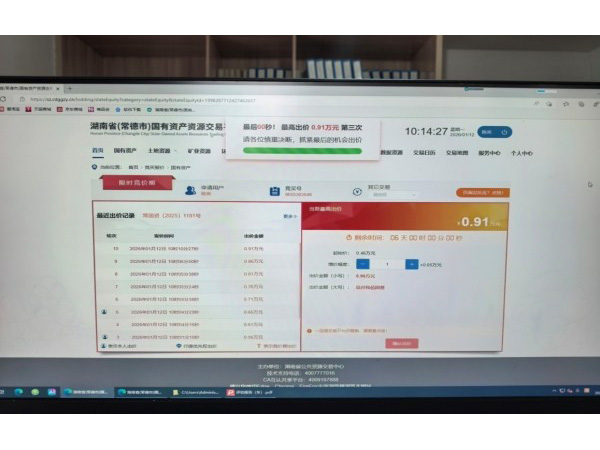 車輛網拍提質增效 數字賦能國資增值